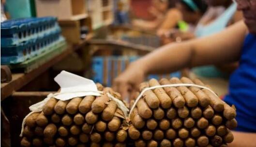多米尼加工厂关闭 古巴禁止入境 雪茄行业迎来至暗时刻